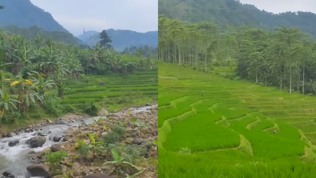 View ngabuburit di Kampung Cisoro