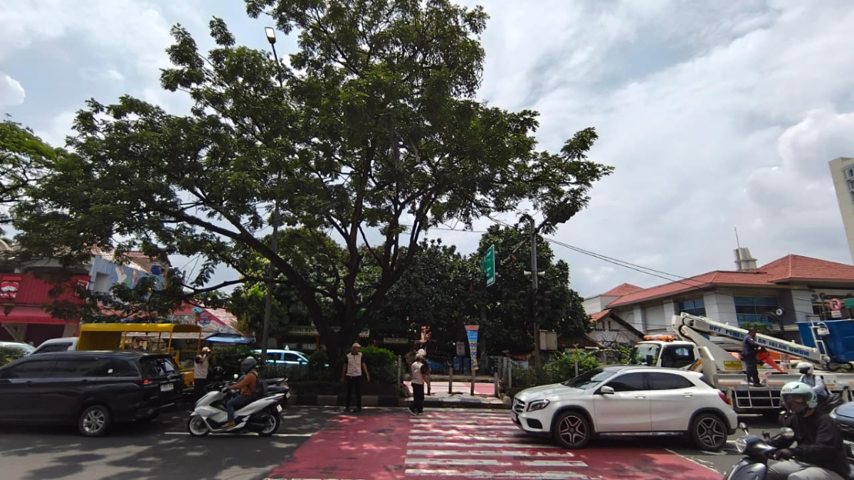 Tim maung ASRI Depok bersama UPT PJU Dishub pangkas pohon rawan tumbang dan perbaiki PJU mati di Jalan Margonda.