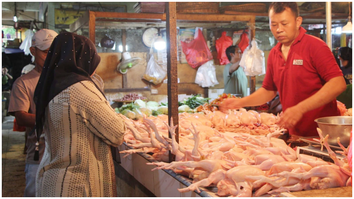 Satgas Saber Pangan turun langsung ke pasar. Harga daging ayam naik signifikan. 