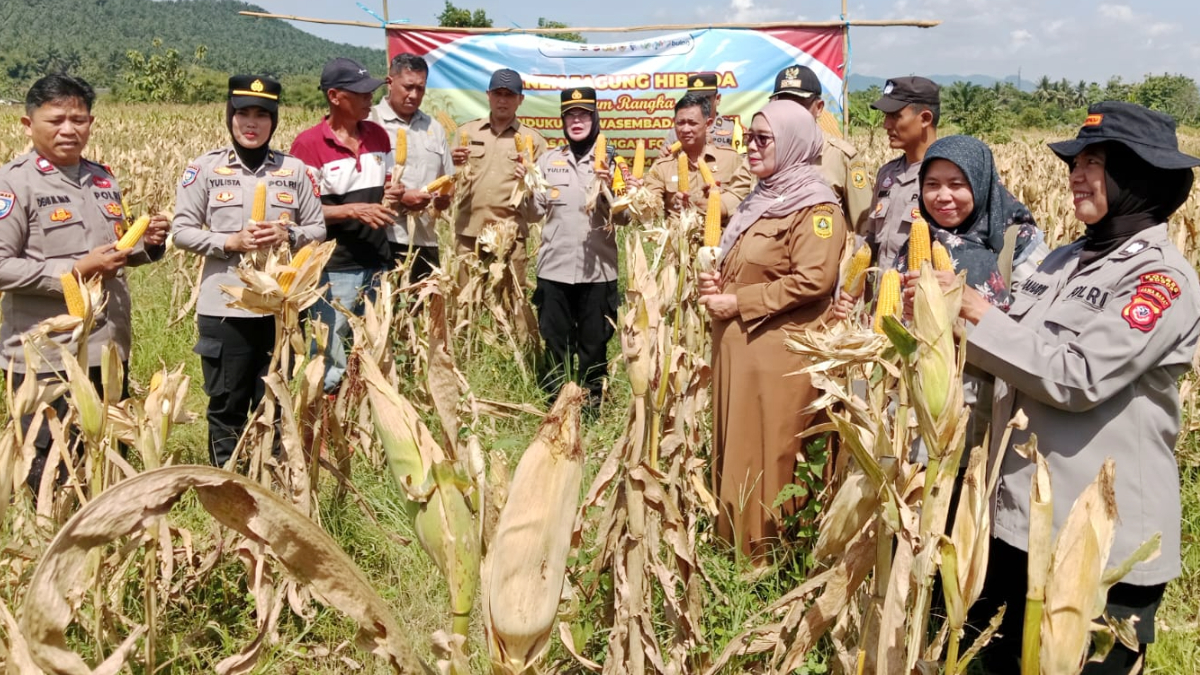Polsek Kemang bersama unsur TNI, pemerintah setempat dan kelompok tani saat panen raya di Desa Pabuaran, Kemang, Kabupaten Bogor, Senin 16 Maret 2026.