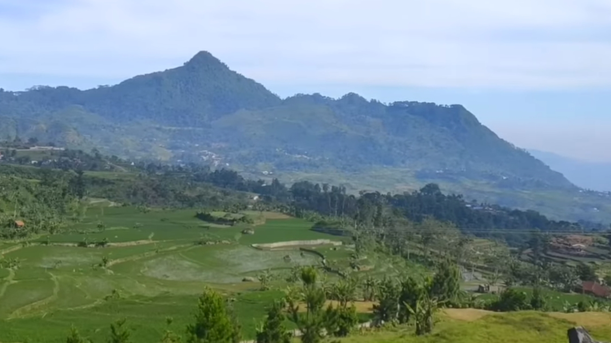 View Puncak 2 Bogor