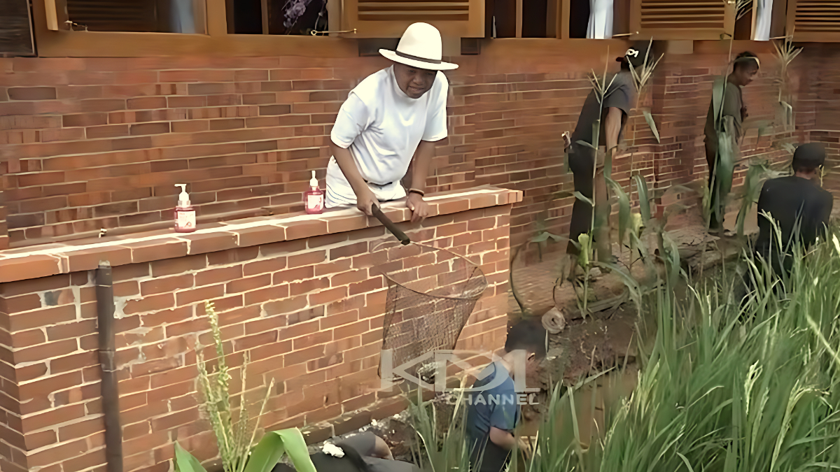 Gubernur Jawa Barat, Dedi Mulyadi mengawasi anak-anak tangkap ikan di Lembur Pakuan.