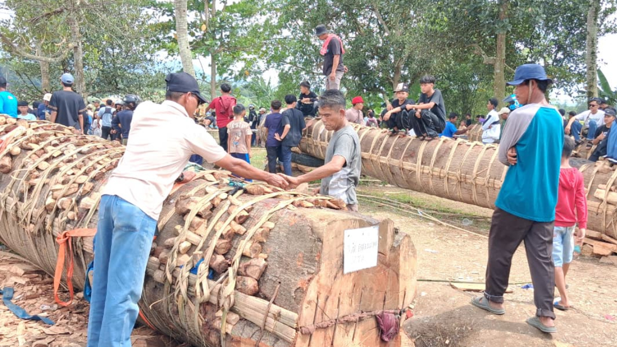Suasana kemeriahan ngadu karbit/kuluwung di Kampung Bakan Pojok, Desa Kutamekar, Kecamatan Cariu, Kabupaten Bogor, Selasa, 24 Maret 2026.