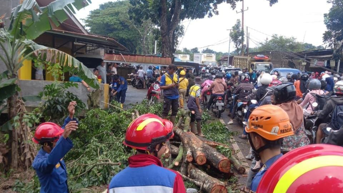 Proses evakuasi pohon tumbang di Jalan Raya Transyogi Jonggol-Cariu, Kecamatan Cariu Kabupaten Bogor Sabtu, 28 Maret 2026.