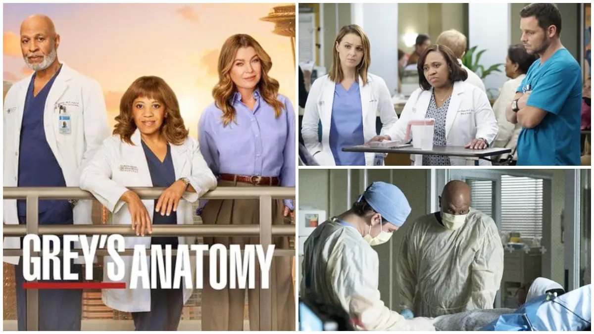 Poster dan cuplikan serial Greys Anatomy dari musim terdahulunya. (Foto: Laman resmi rottentomatoes.com dan imdb.com)