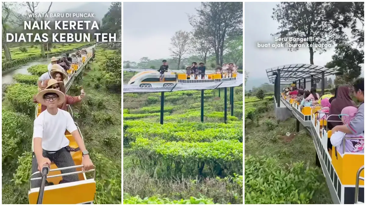 Wahana Kereta Wisata Papa di kawasan kebun teh Gunung Mas, Puncak Bogor. (Foto: Instagram @adeapriy24 dan @sutisna98_)