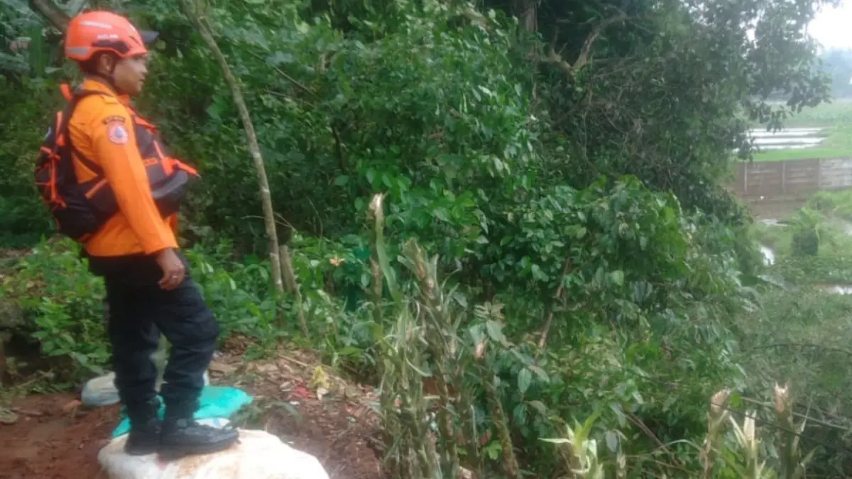 Tebingan longsor di Kampung Cimangir, Gunung Sindur, Kabupaten Bogor mengancam rumah warga di sekitarnya, Minggu, 5 April 2026.(Dok BPBD Kabupaten Bogor)