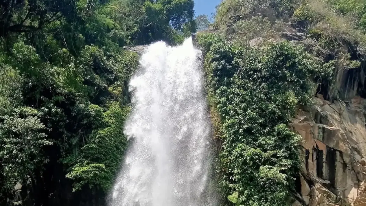 Ilustrasi: Suasana Curug Bidadari di kawasan Sentul, Babakanmadang Kabupaten Bogor. (Instagram @curugbidadari_sentul)