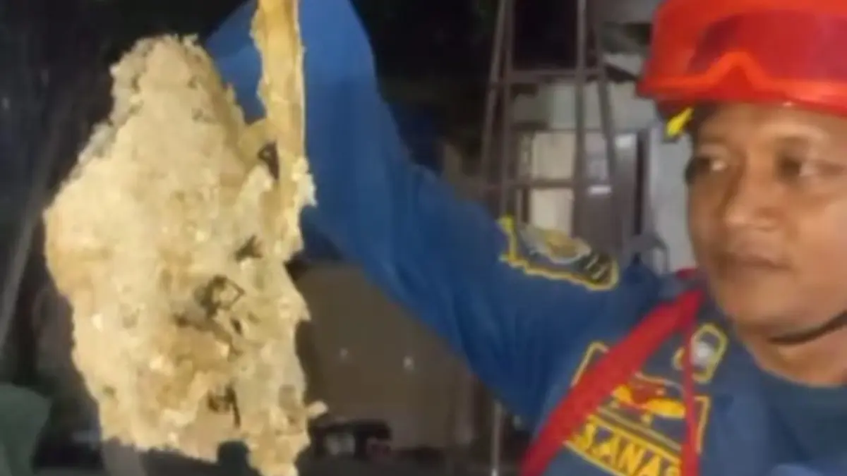 Petugas Damkar Sektor Parungpanjang saat mengevakuasi sarang tawon di Kampung Leuwiranji, Desa Sukamulya, Rumpin, Kabupaten Bogor. (Dok. Damkar Kabupaten Bogor)