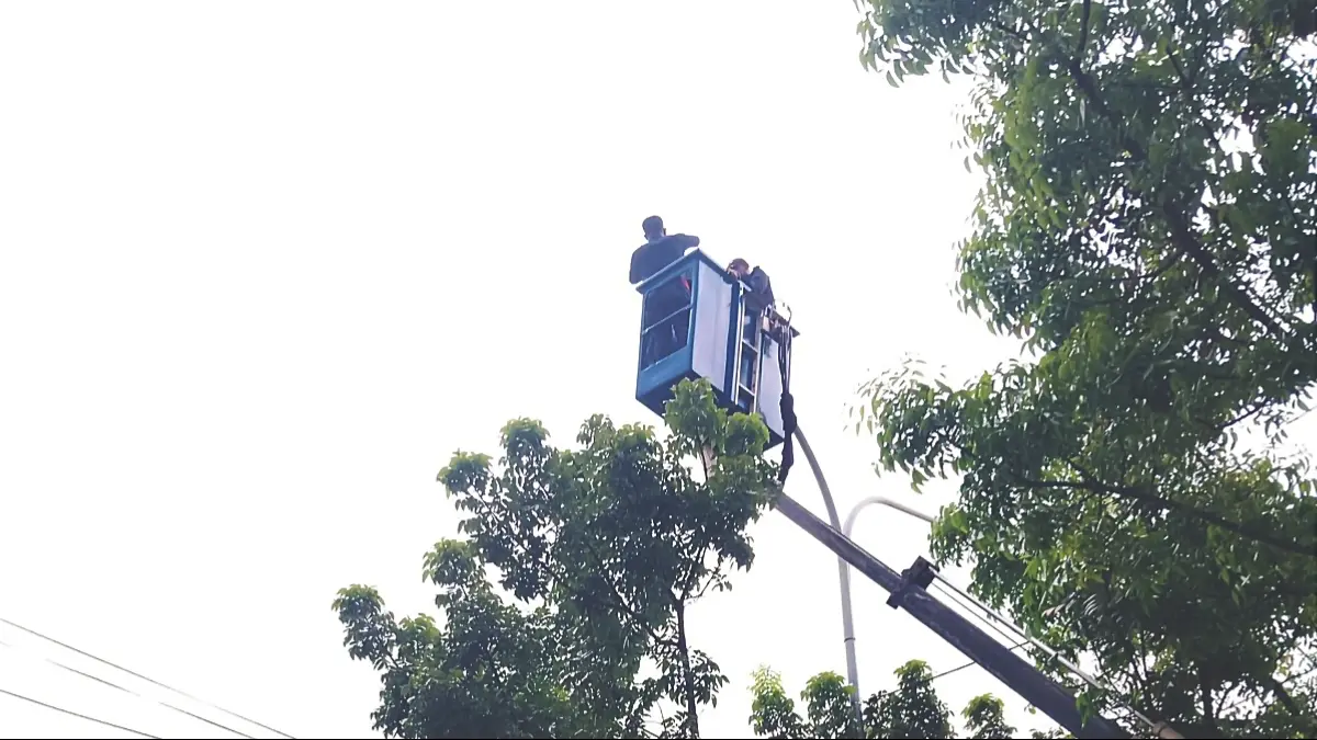 Tim Maung Depok bersama dengan UPT PJU Dishub Kota Depok dan Rangger Pohon lakukan perbaikan PJU mati dan pemangkasan pohon rawan tumbang di Kota Depok. Foto: Ketua Tim Maung ASRI Depok for Radar Bogor