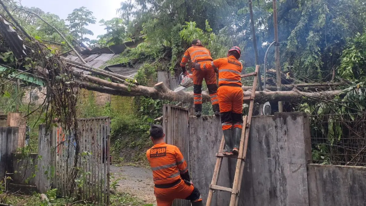 Petugas BPBD Kota Bogor mengevakuasi pohon cempaka tumbang yang menimpa rumah dan menutup akses jalan di Kampung Mulyasari, Kelurahan Harjasari, Bogor Selatan, Jumat, 10 April 2026.(Dok. BPBD Kota Bogor)