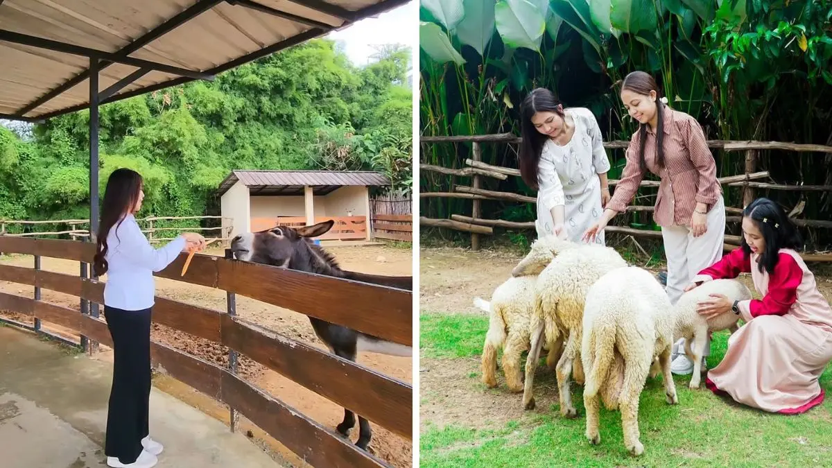 Potret suasana dan hewan di Aviary Park Indonesia. (Foto:&nbsp; Instagram @aviaryparkindonesia)