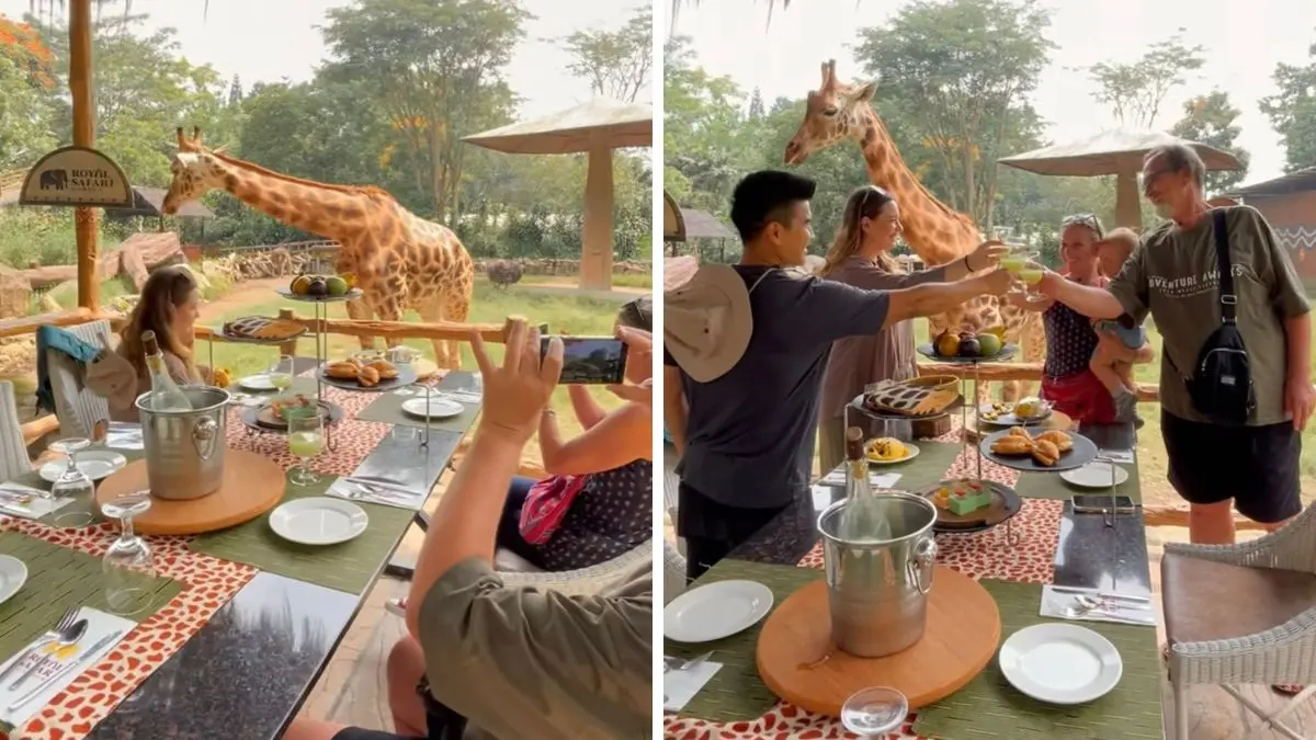 Pengalaman makan unik sambil berinteraksi langsung dengan jerapah (Foto: Instagram @royalsafari_garden dan @desavanna.resto)