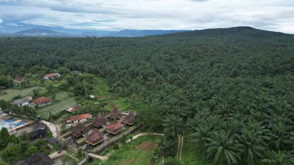 Lahan Sawit di Desa Cimulang dan Cendali, Rancabungur, Kabupaten Boor yang rencananya dibangun sport center. (Aziz/Radar Bogor)