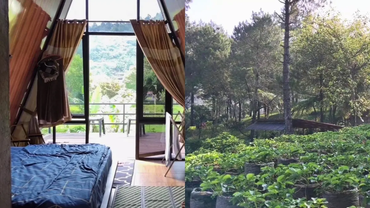 Bukit Cihulu Glamping Ground, Bogor (Foto: Tangkapan Layar YouTube Rista Riana)