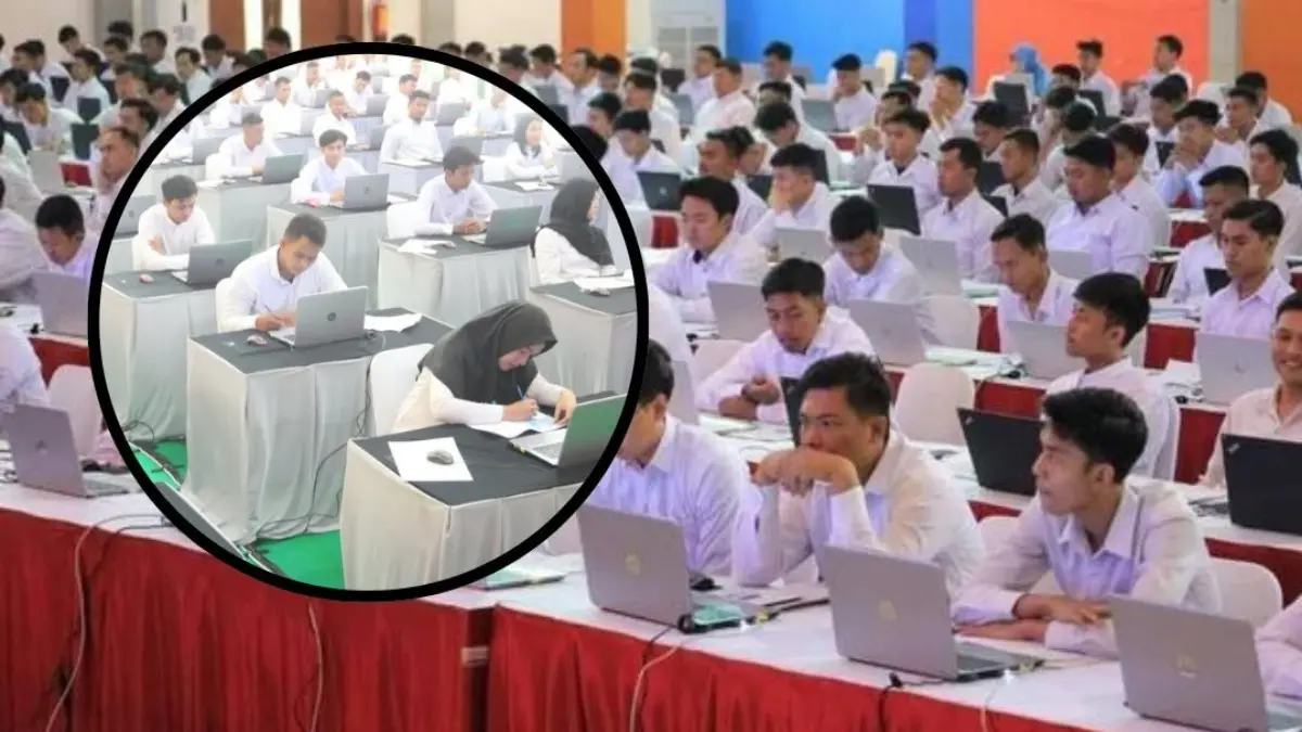 Ilustrasi CPNS 2026 Fresh graduate