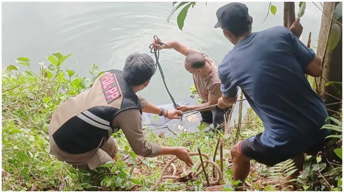 Petugas saat mengevakuasi mayat di Danau Binong Cileungsi . (Foto : Polsek Cileungsi)