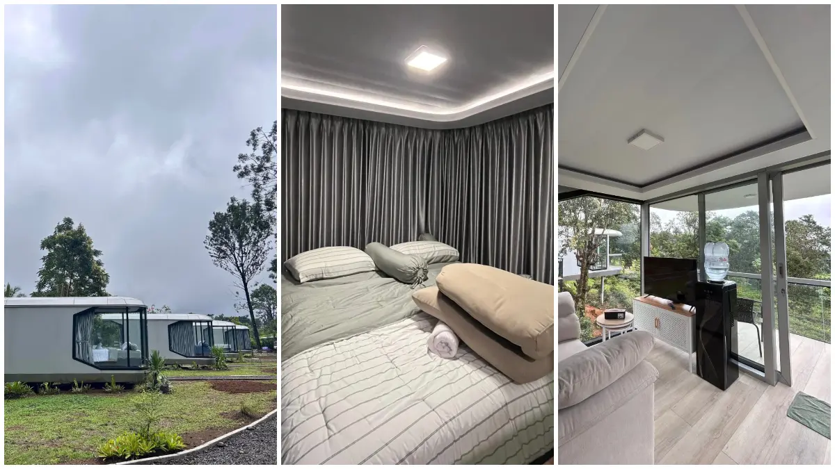 Suasana tenang Cabin Capsule di Puncak Bogor dengan balkon menghadap langsung ke hamparan kebun teh (Foto: Instagram @lbharaden_cabincapsule)