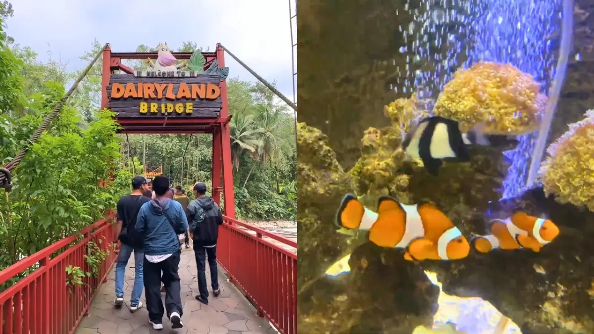 Cimory Dairyland Riverside jadi favorit pengunjung terutama anak-anak (Foto: Tangkapan Layar YouTube Piknik ID)