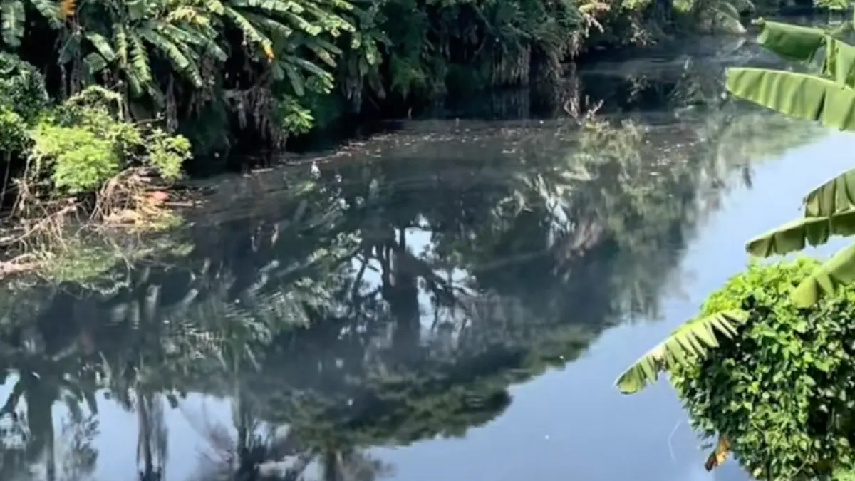 Ilustrasi. Air Sungai Cidurian di Jasinga Bogor menghitam, beberapa tahun lalu. Foto: Tangkapan Layar TikTok Netizen Serang