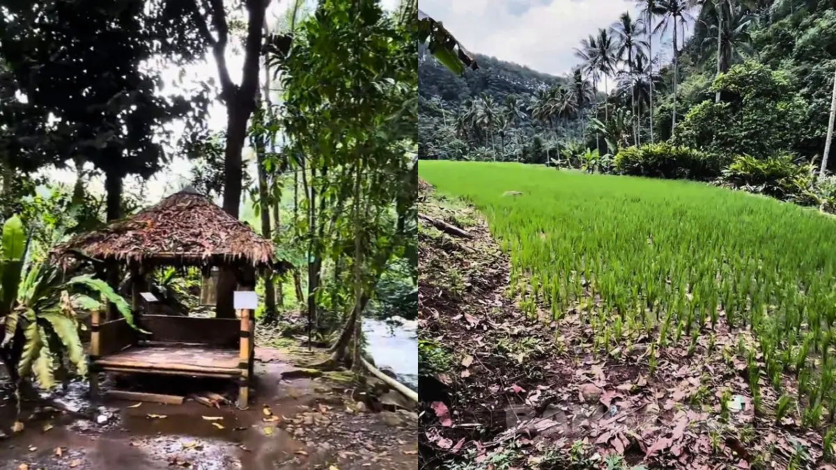 Kampung Wisata Ciwaluh (Foto: Tangkapan Layar YouTube Bang Lele)