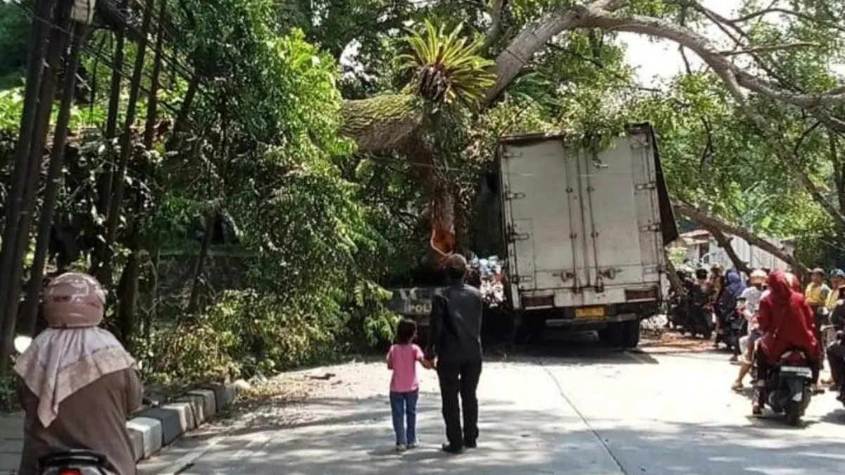 Pohon tumbang menimpa sejumlah kendaraan di Jalan Raya Ciawi - Sukabumi, Desa Bitungsari, Kecamatan Ciawi, Kabupaten Bogor. (Dok. Kiriman warga)