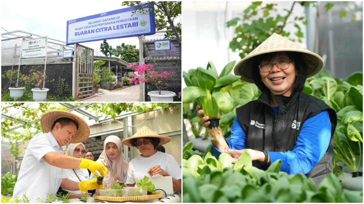 Program BRInita bantu perempuan berdaya, KWT Buaran Citra Lestari manfaatkan lahan sempit untuk tanaman produktif.