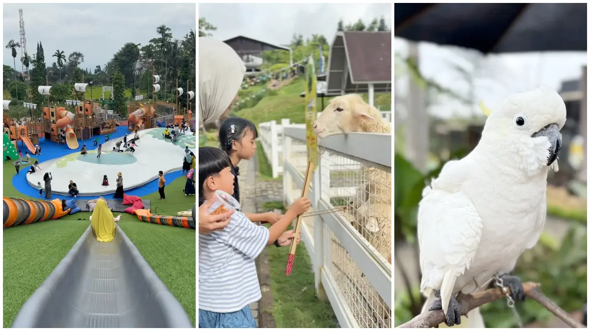 Playground outdoor di kawasan Play Kingdom Puncak yang jadi favorit anak-anak. (Foto: Instagram @playkingdom.puncak)
