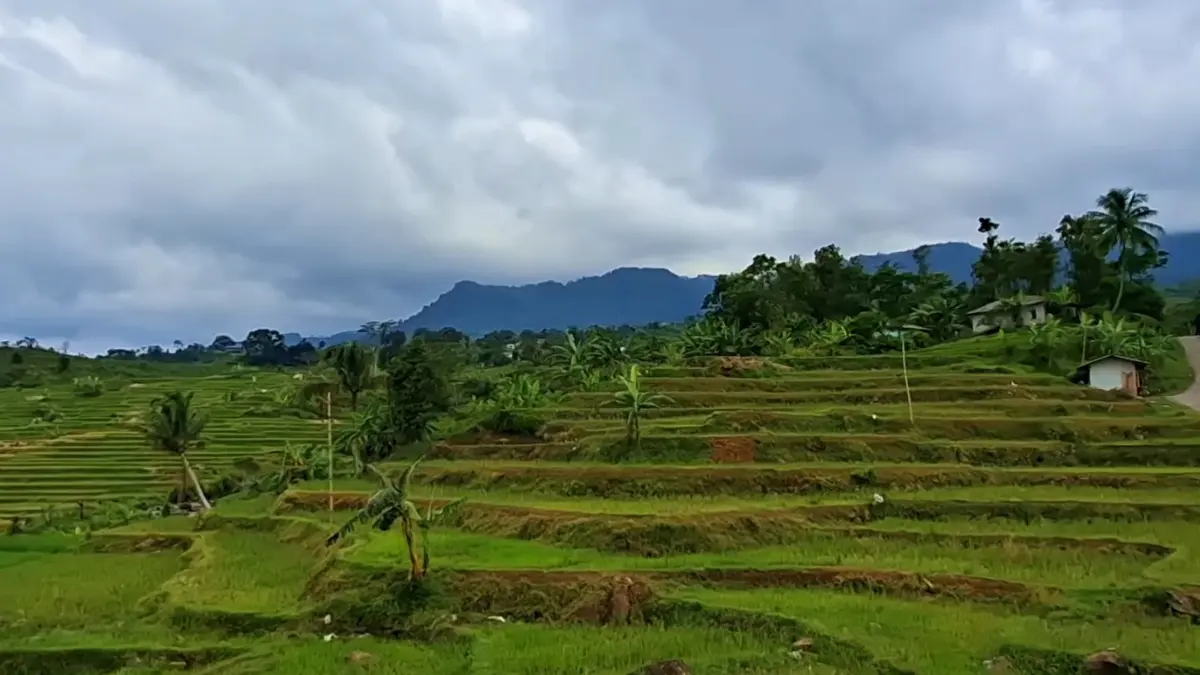 View ngopi di Saung Luhur Pucak. (Foto: YouTube Plesiran asik)