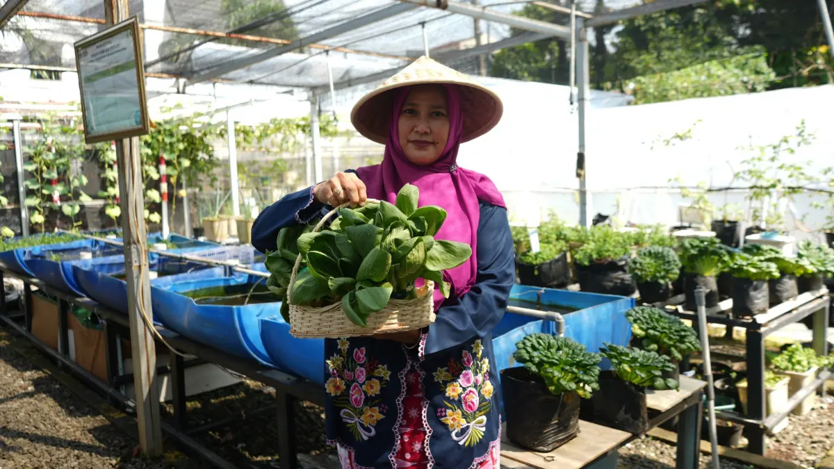Hasil urban farming dalam program BRInita milik BRI. Foto: BRI for Radar Bogor
