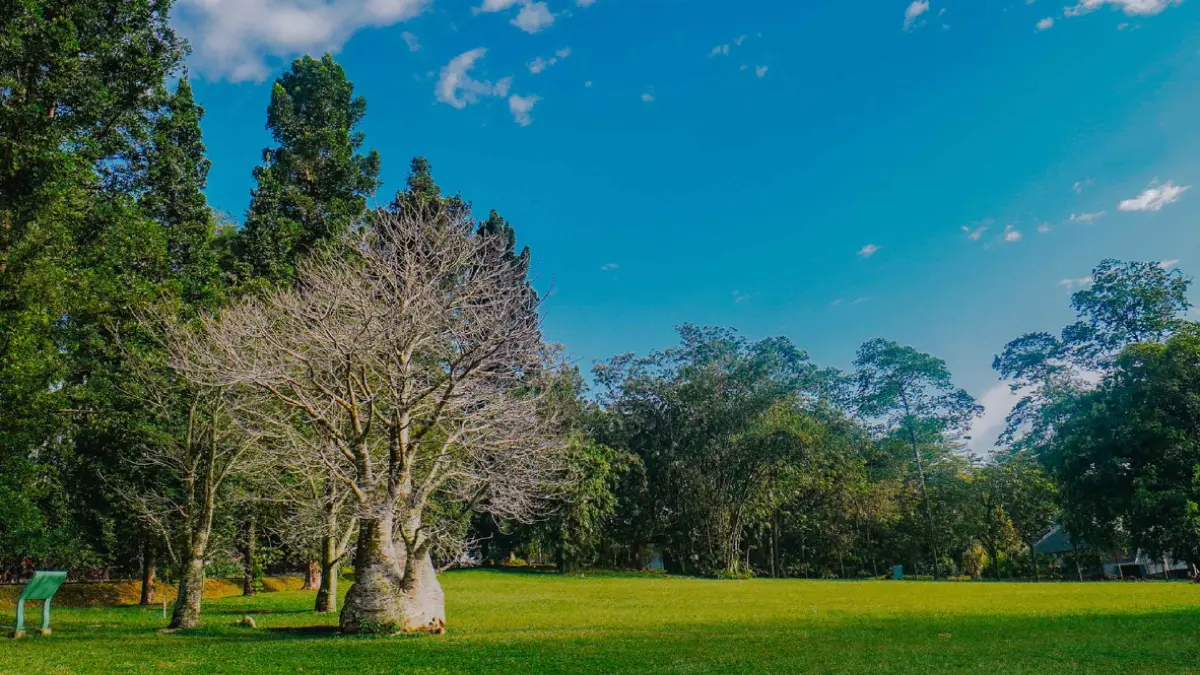 Spot foto di Kebun Raya Bogor. Foto: Laman Kebun Raya