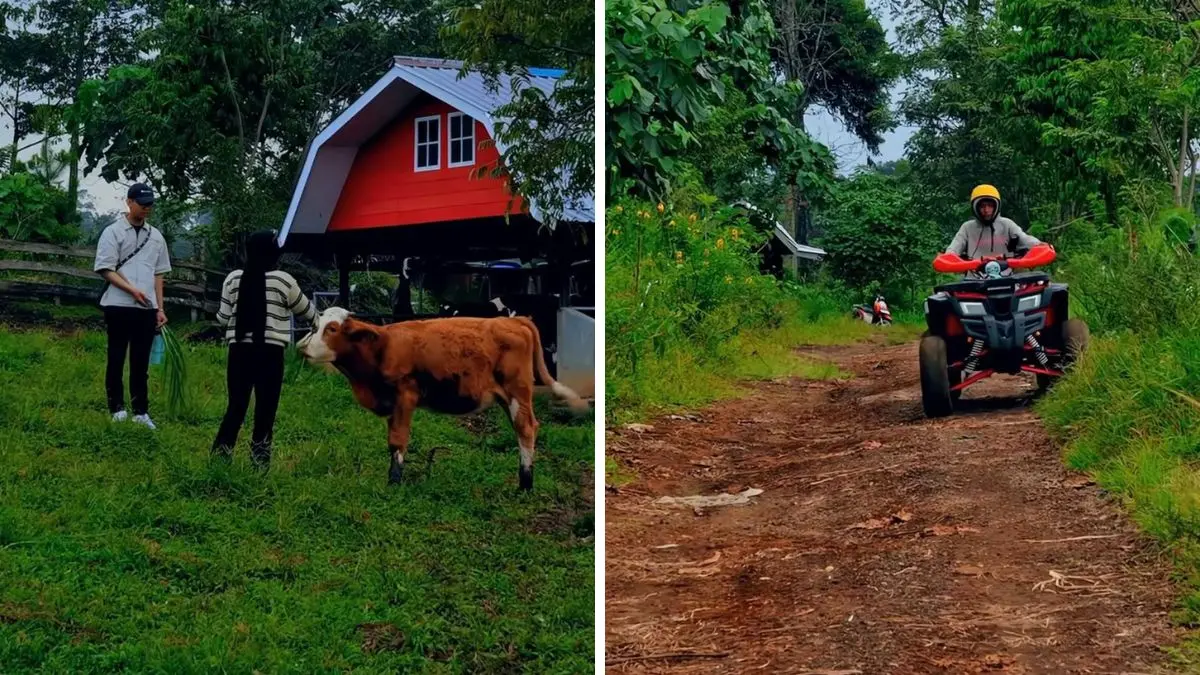 Aktivitas seru di Erif Farm Bogor, mulai dari feeding hingga bermain. (Foto: Instagram @eriffarm)