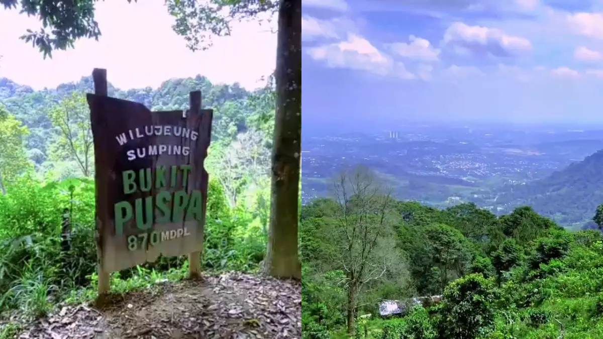 Suasana Bukit Puspa Sentul tidak kalah sejuknya dengan perbukitan di tempat lain (Foto: Tangkapan Layar YouTube Opal Raufal)