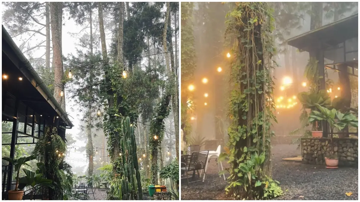 Suasana Aranya Coffee and Forest dengan pemandangan hutan dan kabut yang sejuk di Bogor. (Foto : Instagram @aranya.id)