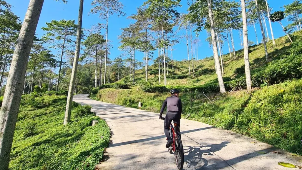 Pemandangan di Kebun Teh Cianten, Kabupaten Bogor. Foto: Instagram @ hilmiakhmad