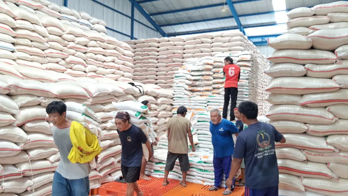 Aktivitas buruh angkut di gudang Perum BULOG Kantor Cabang Bogor, Kecamatan Dramaga, Kabupaten Bogor, Kamis, 30 April 2026. (Muhammad Ali/Radar Bogor)