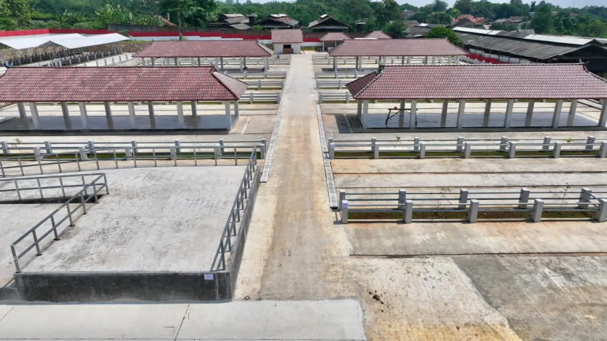 Penampakan Pasar Hewan di Jonggol, Kabupaten Bogor. Foto: Diskominfo for Radar Bogor