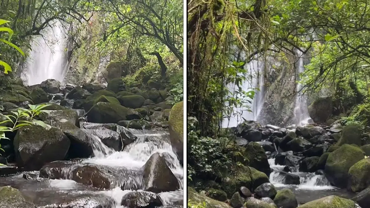 Keindahan Curug Cirendeu yang tersembunyi dengan suasana alami di Bogor. (Foto : TikTok @abidzarrr.e)