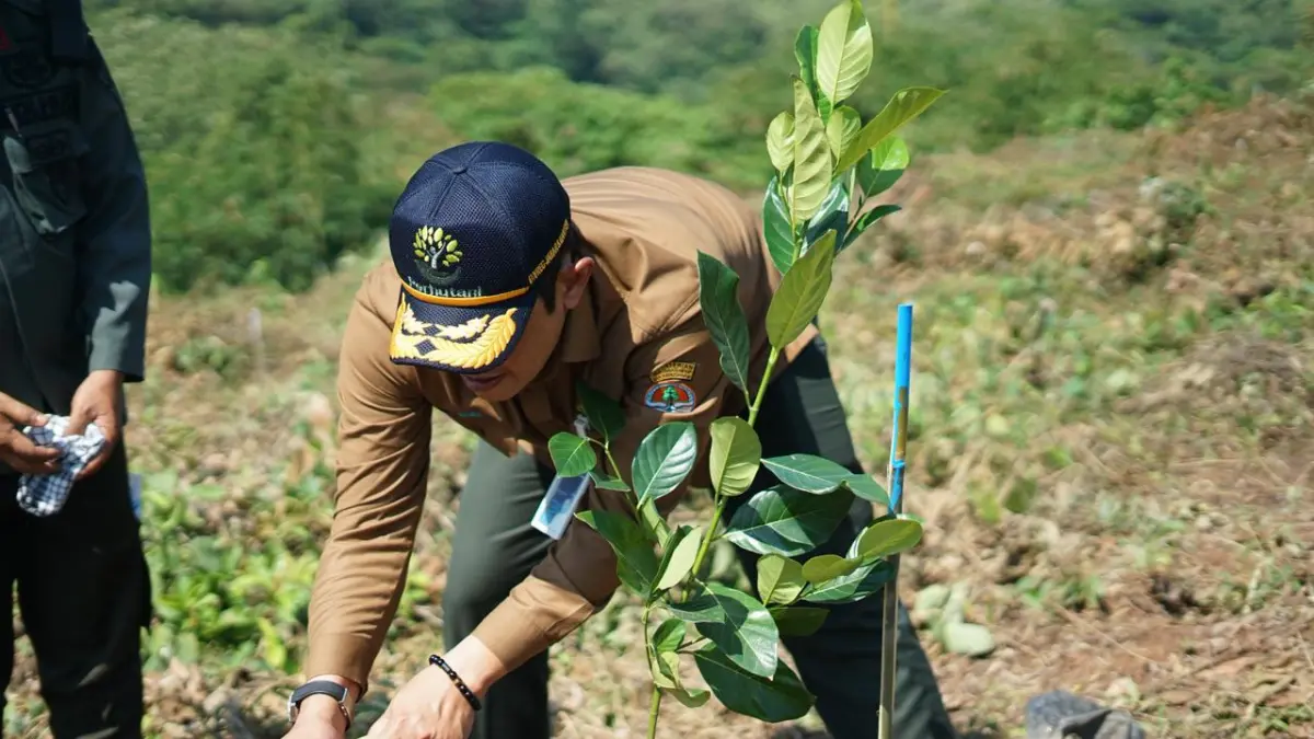 Perum Perhutani menegaskan langkah konkret dalam menjaga kelestarian hutan melalui berbagai program berkelanjutan yang terintegrasi dengan upaya mitigasi bencana dan pemberdayaan masyarakat sekitar hutan. (Foto : Istimewa)
