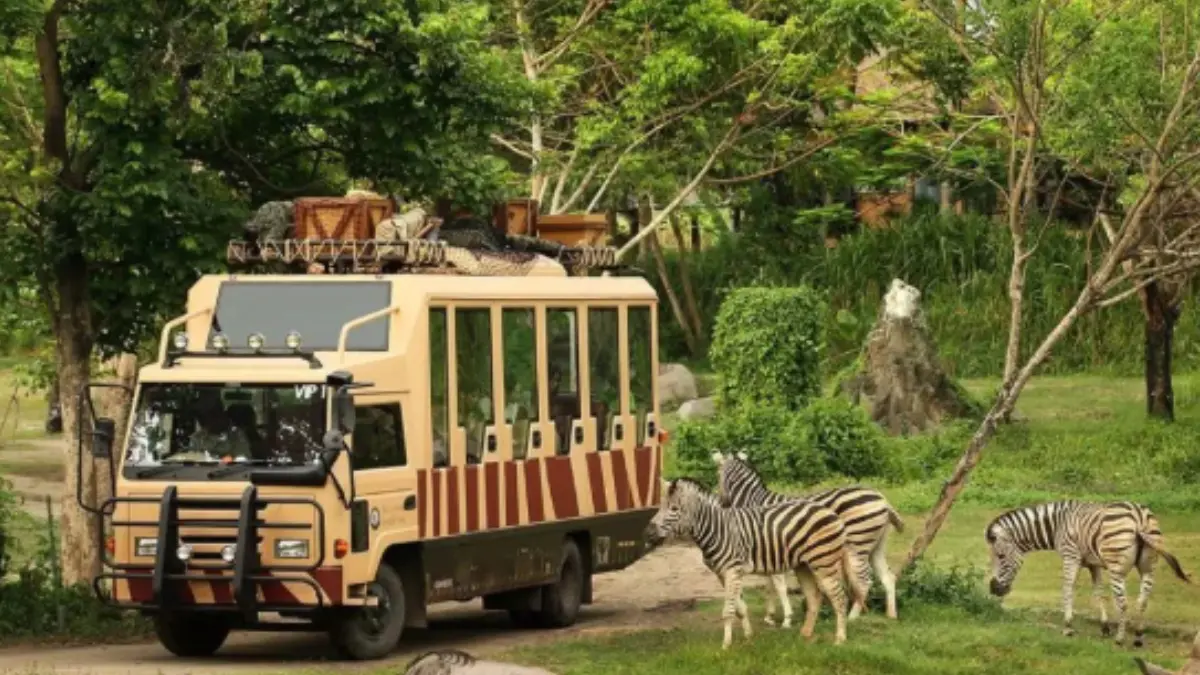 Taman Safari Indonesia mendukung transformasi Kebun Binatang Bandung menjadi lembaga konservasi modern. (Dok. Taman Safari Indonesia)
