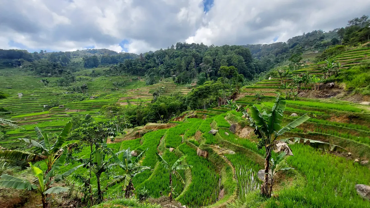 Desa Malasari, Kabupaten Bogor. Foto: Laman Travelspromo