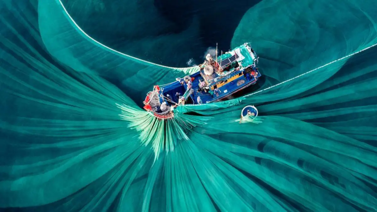 Epson Asia Tenggara Buka Pendaftaran The 17th Epson International Pano Awards 2026. Foto: Epson