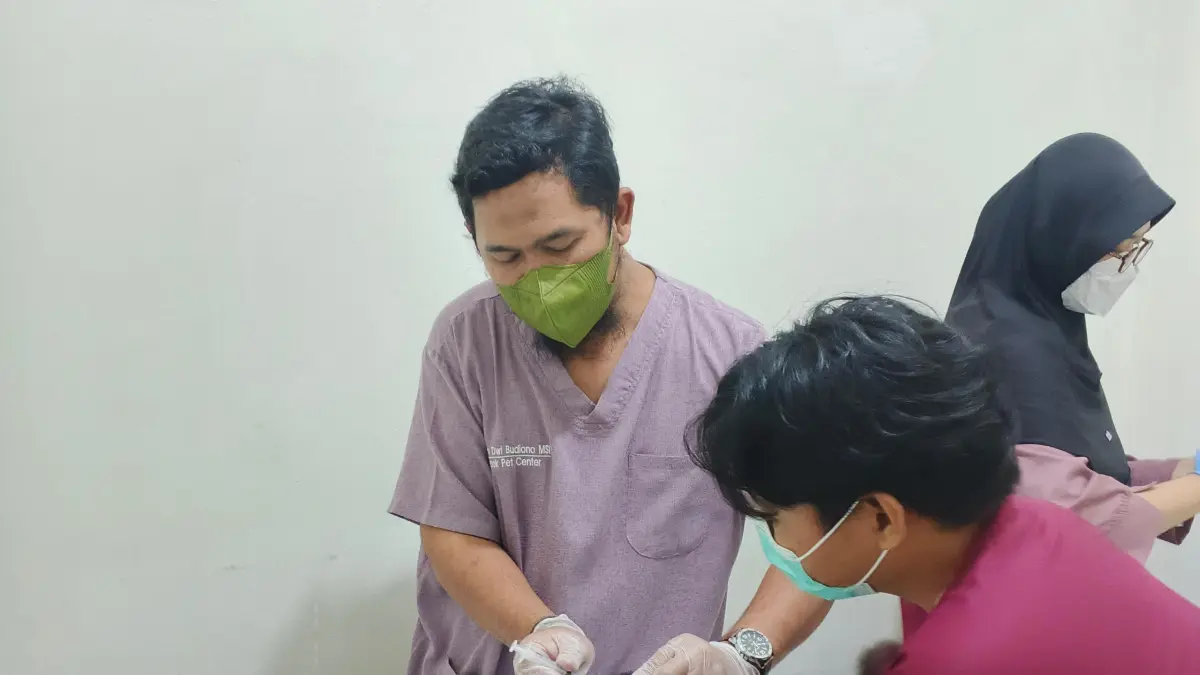 Pelaksanaan vaksinasi rabies gratis