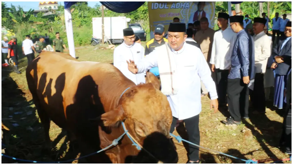 Bupati Bogor, Rudy Susmanto simbolis menyerahkan sapi kurban dari Presiden Prabowo Subianto di halaman Mesjid Nurul Wathon, Cibinong, Kabupaten Bogor, Rabu 27 Mei 2026. (Foto : Hendi Novian/Radar Bogor)