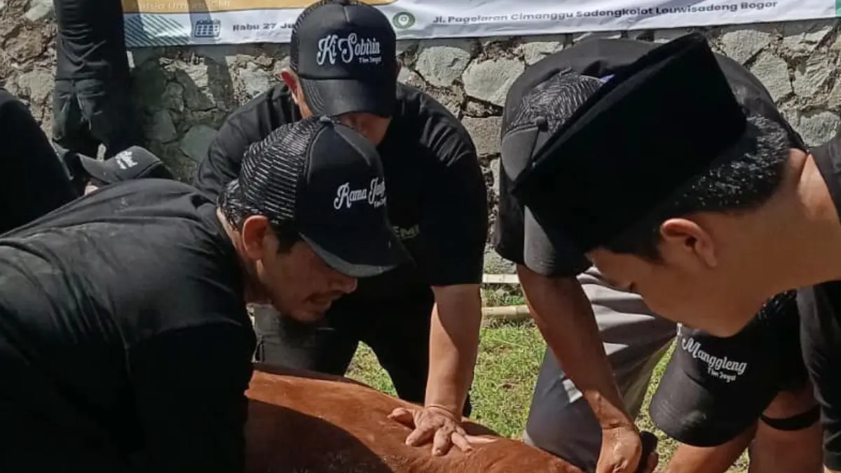 ICMI saat menyembelih hewan kurban milik Presiden Prabowo di Kecamatan Leuwidadeng, Kabupaten Bogor, Rabu, 27 Mei 2026. (ICMI Kota Bogor)