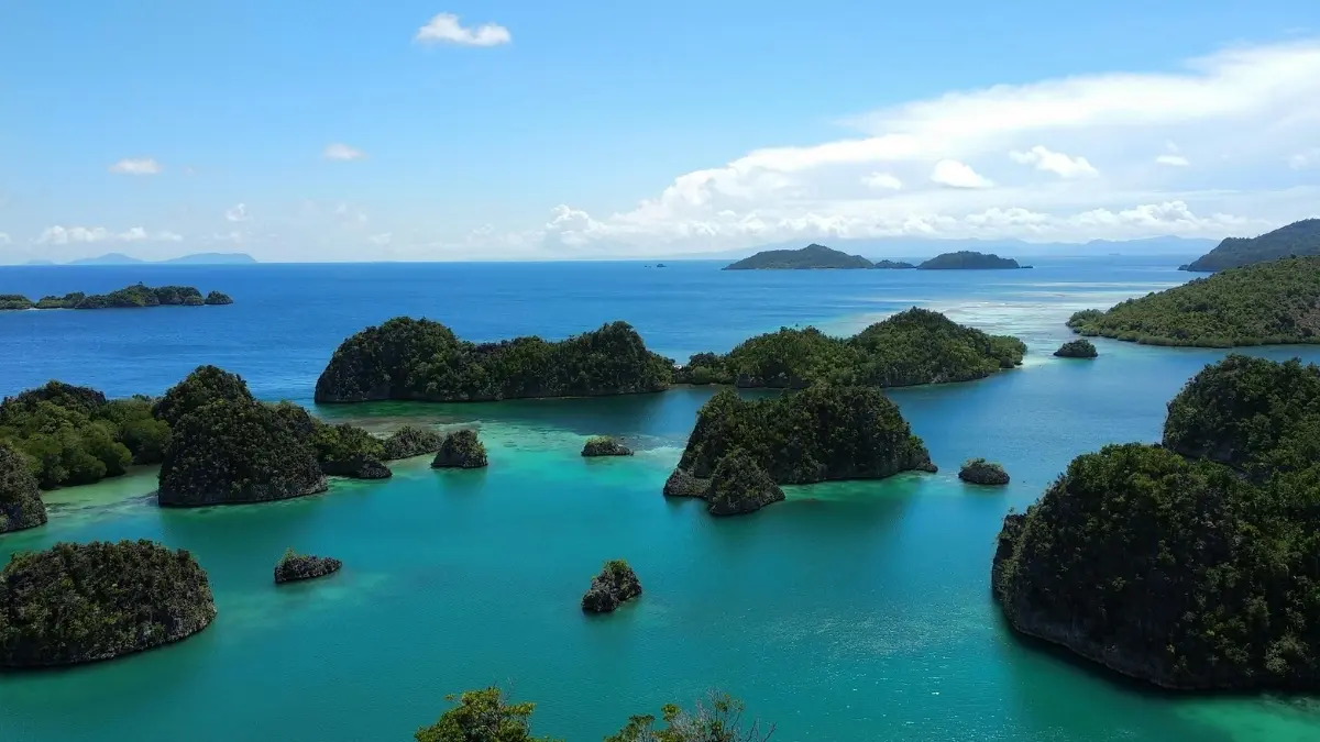 Ilustrasi pemandangan destinasi wisata alam Raja Ampat Papua. (Foto: Pexels/greenwish_)