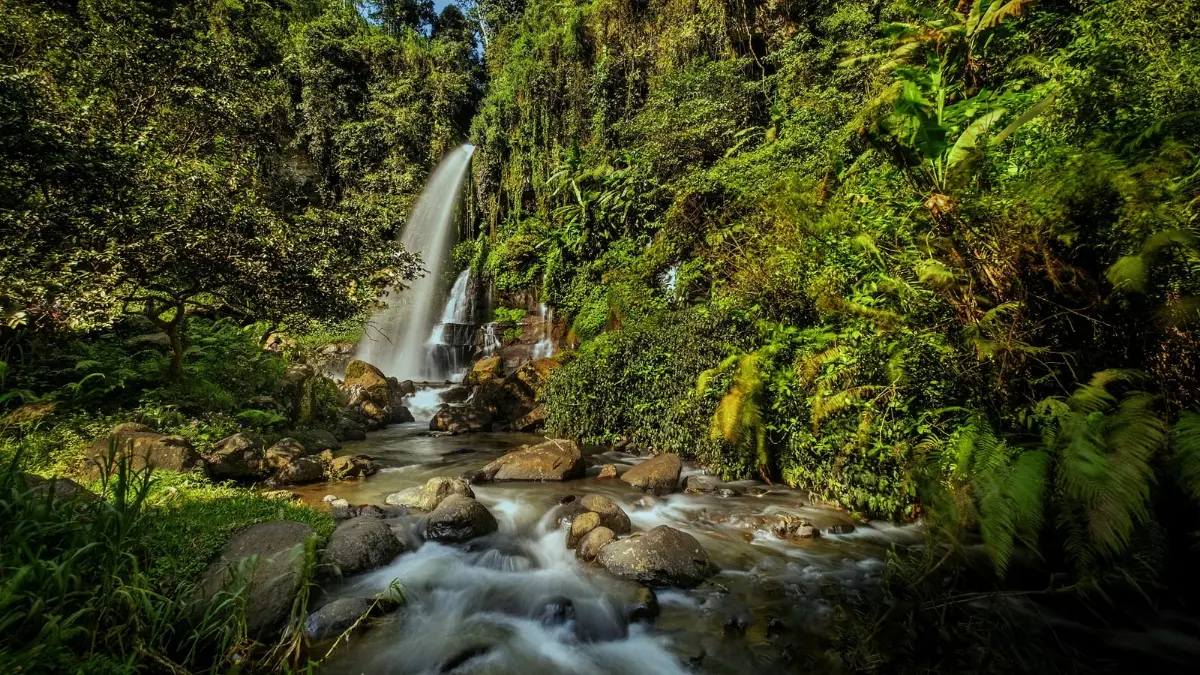 ilustrasi salah satu air terjun yang ada di Sulawesi. (Foto: Pexels/Andreas Suwardy)