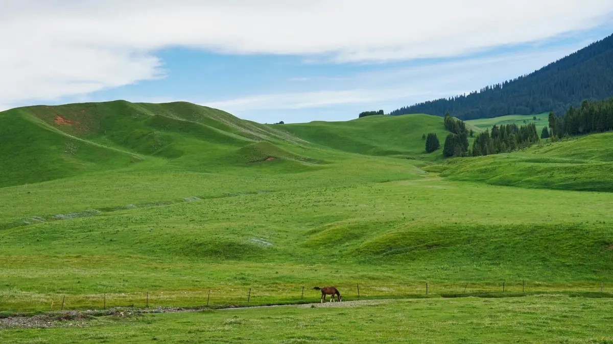 Ilustrasi wisata Bukit Teletubbies. (Foto: Pexels/gang liang)