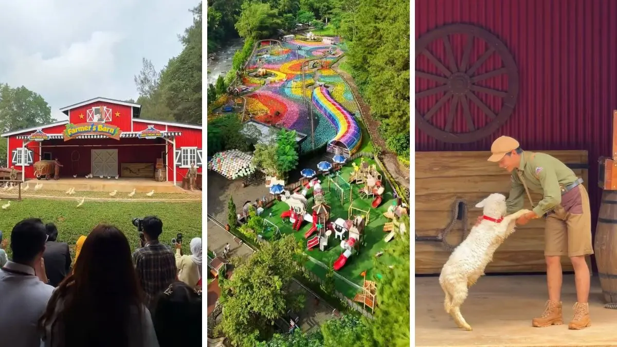 Farm Animal Show pertama di Indonesia kini hadir di Dairyland Puncak. (Foto: Instagram @famzguide)