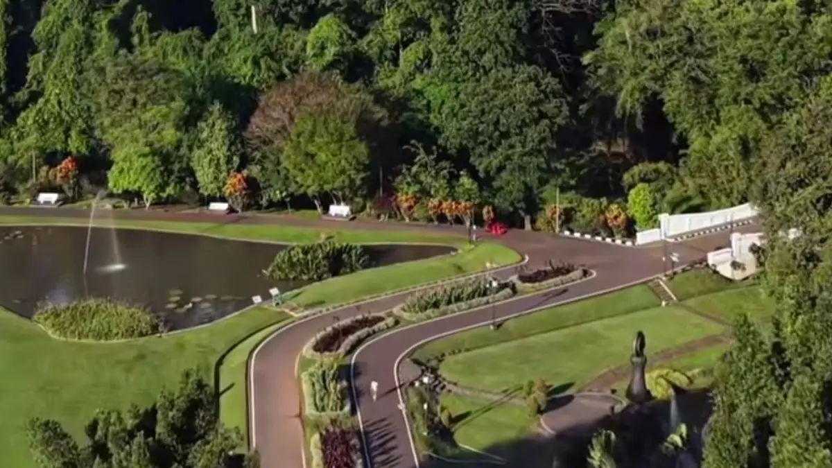 Suasana di kebun raya Bogor dilihat dari atas. (Foto: Instagram @kebunraya_id)